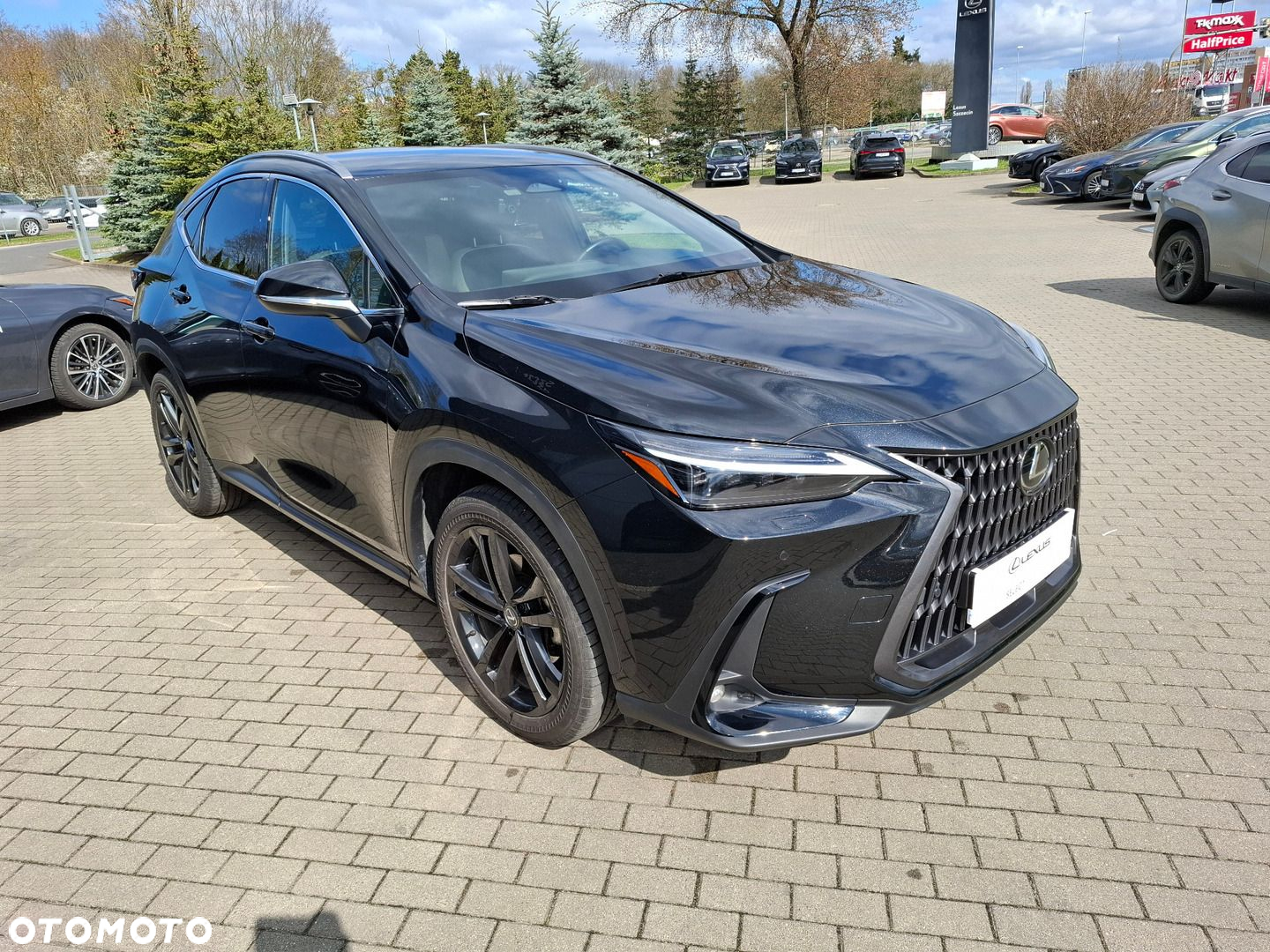 Lexus NX - 7