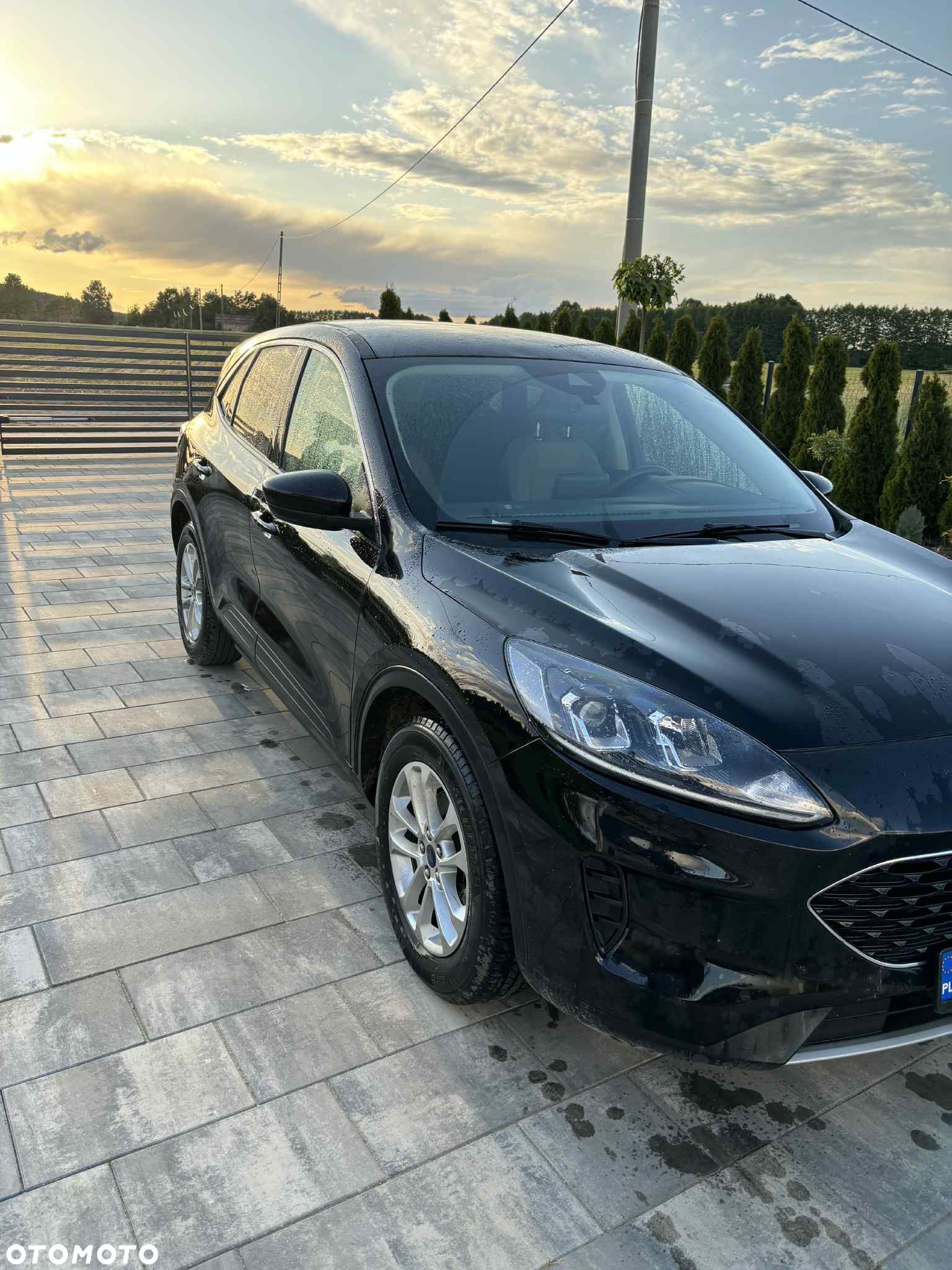 Ford Escape - 7