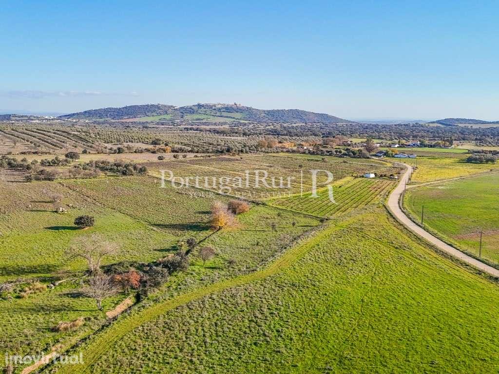 Terreno apto a Alojamento Local - Grande imagem: 2/8