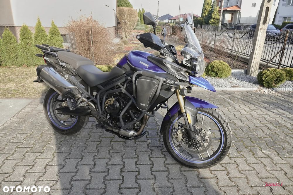 Triumph Tiger - 3