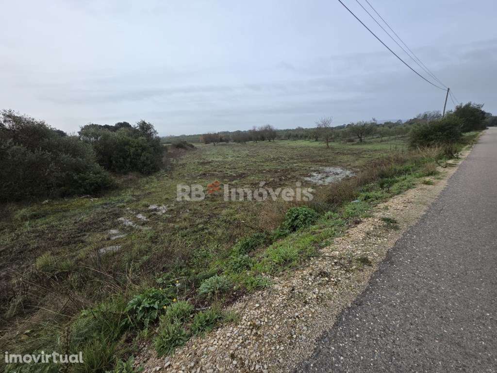 Terreno rústico com 4.080m2 - Soudos, Torres Novas - Grande imagem: 2/7