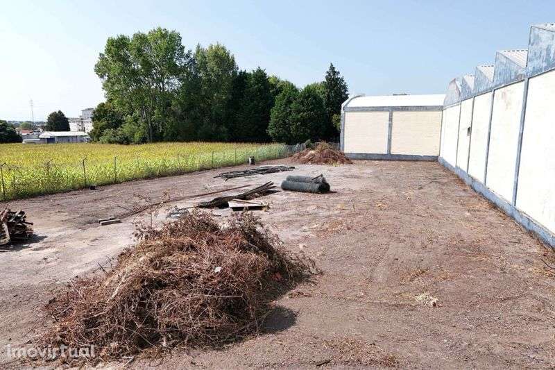 Terreno na N109 - Grande imagem: 5/6