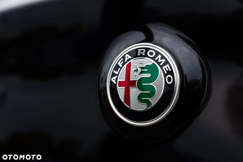 Alfa Romeo Stelvio 2.0 Turbo Veloce Q4 - 16