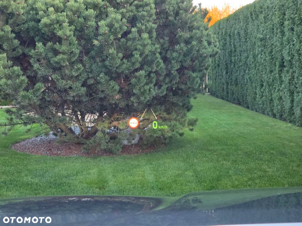 Hyundai Santa Fe 2.0 CRDi Platinum 4WD - 19