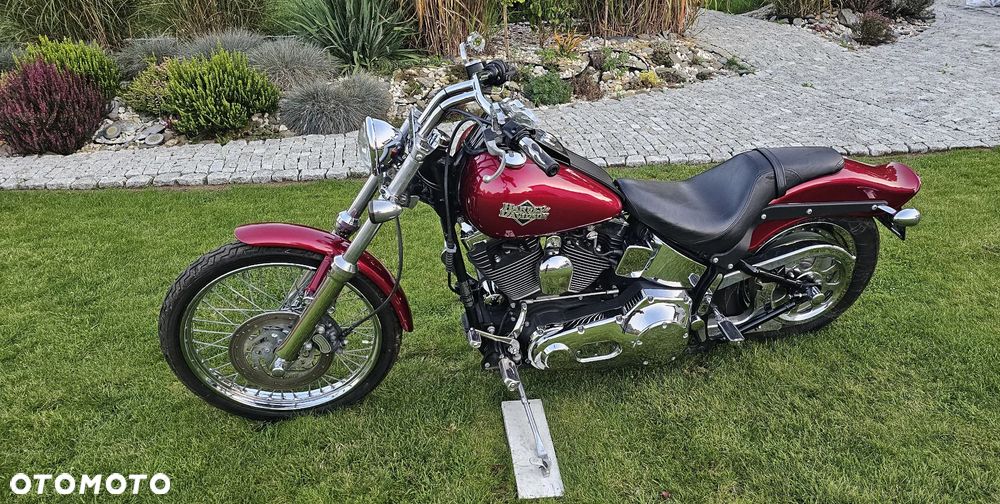 Harley-Davidson Softail - 24