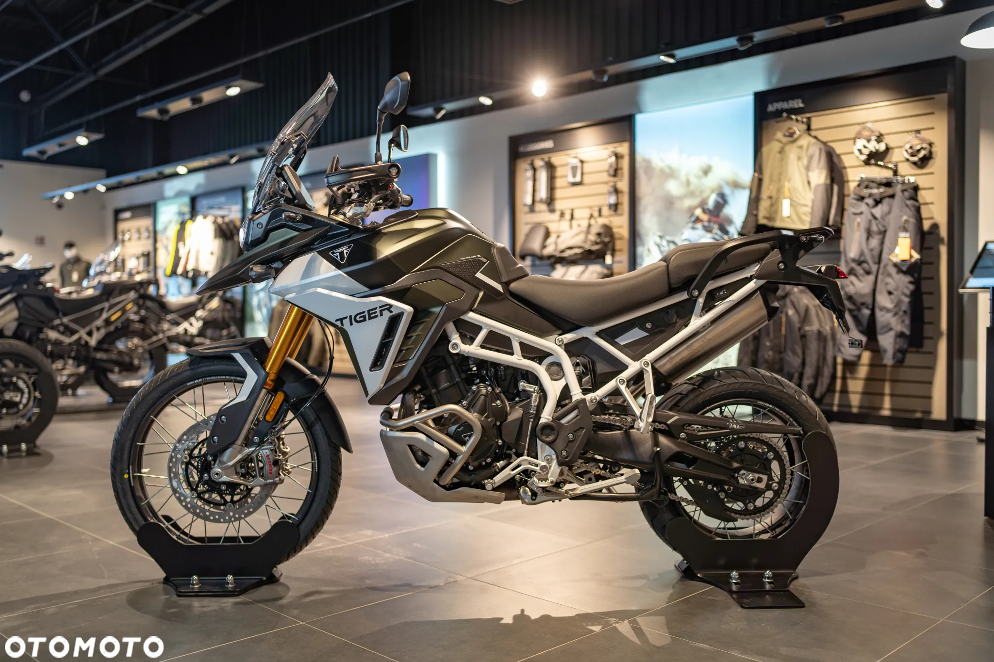 Triumph Tiger - 14