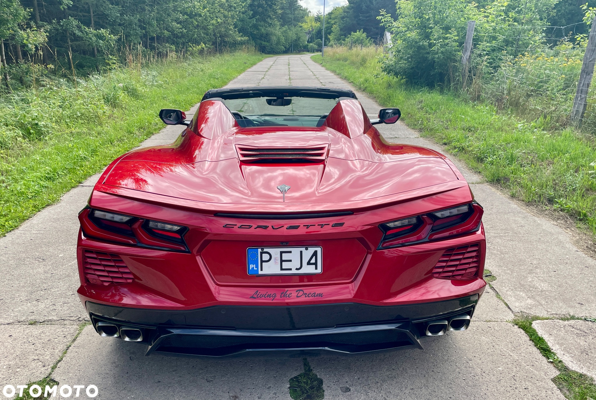 Chevrolet Corvette Stingray 3LT 6.2 V8 Cabrio Automatik - 16
