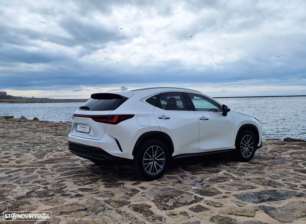 Lexus NX 450h+ - 22