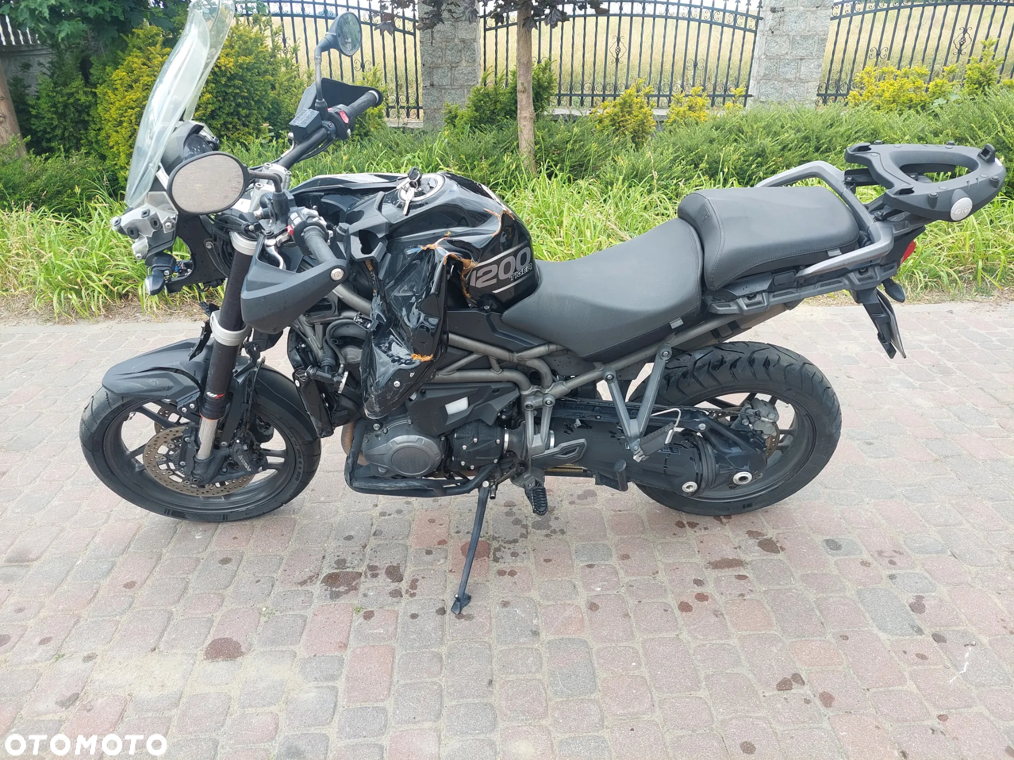 Triumph Tiger - 2