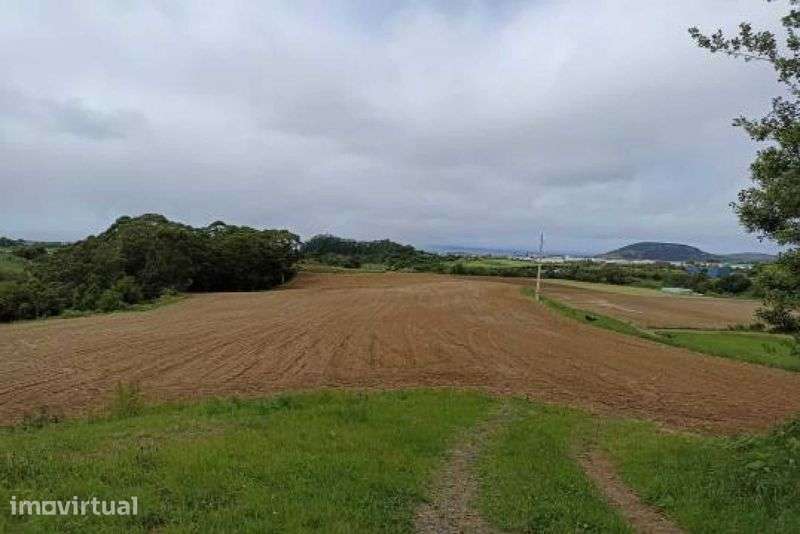 Terreno em Santa Comba Dão para isenção de IMT Empresas - Grande imagem: 2/3