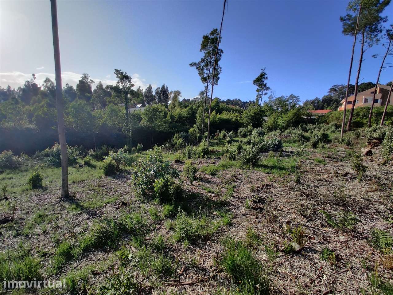 Terreno Urbanizável em Grijó - Grande imagem: 3/15