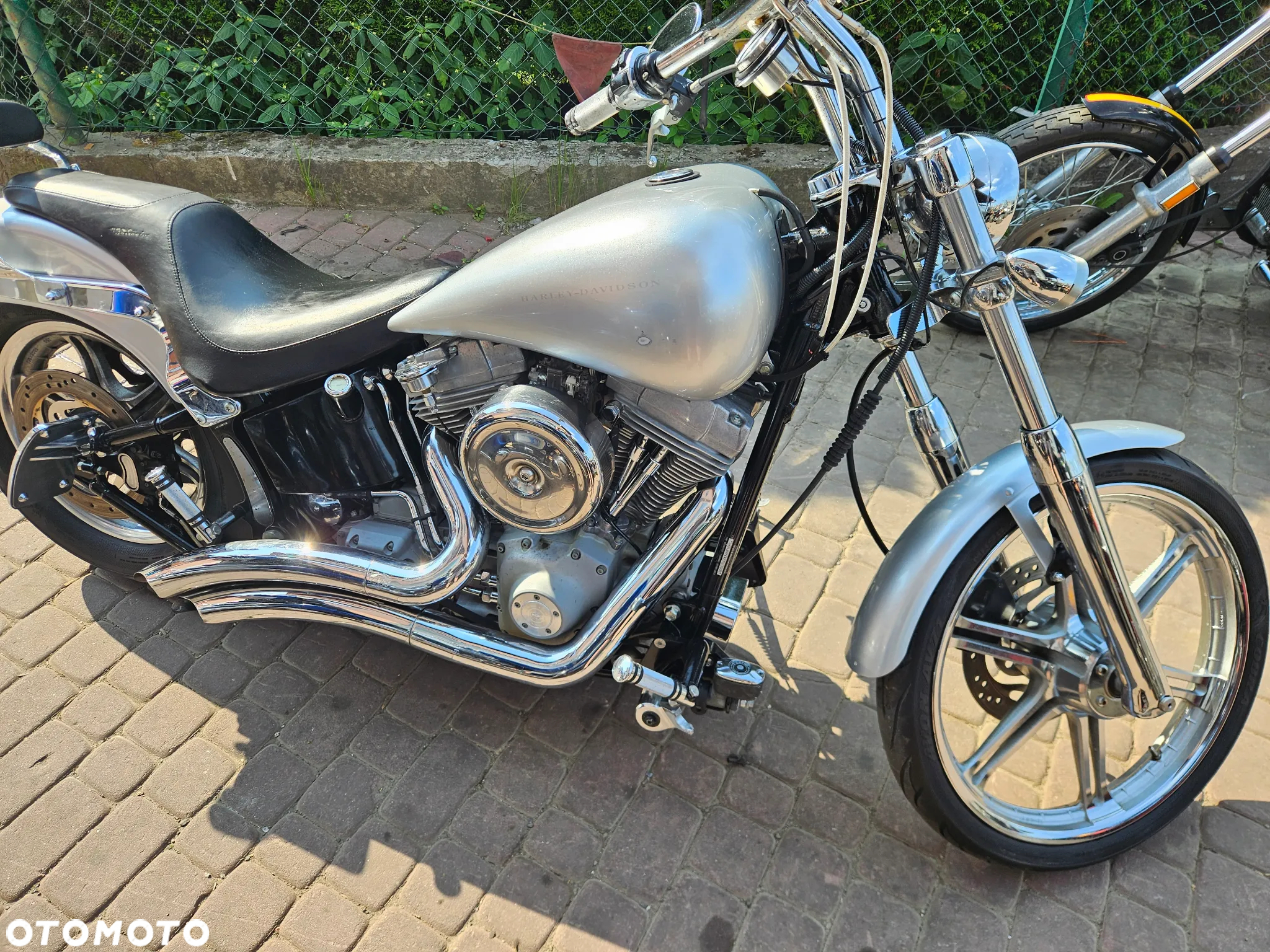 Harley-Davidson Softail Standard - 5
