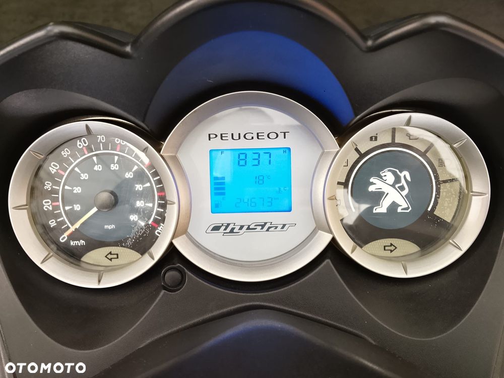 Peugeot Citystar - 6