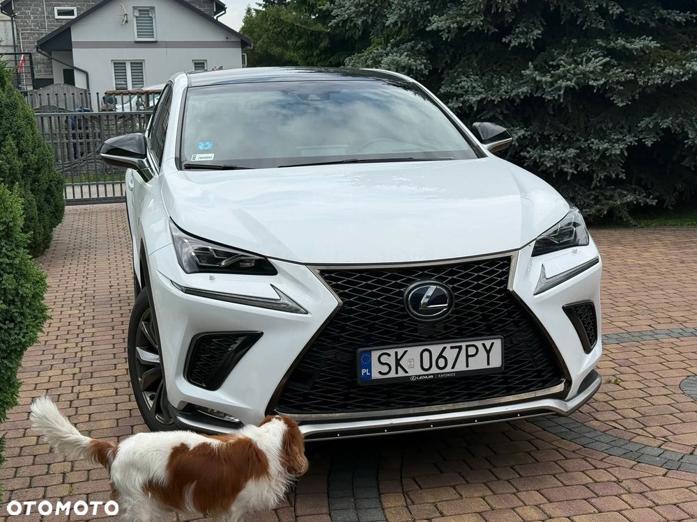 Lexus NX 300h F Sport Edition AWD - 6
