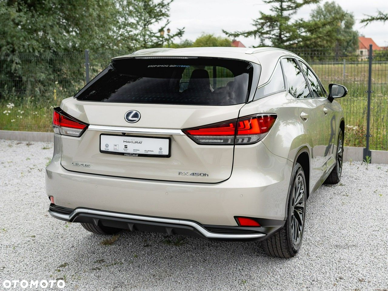 Lexus RX 450h F-Impression - 6