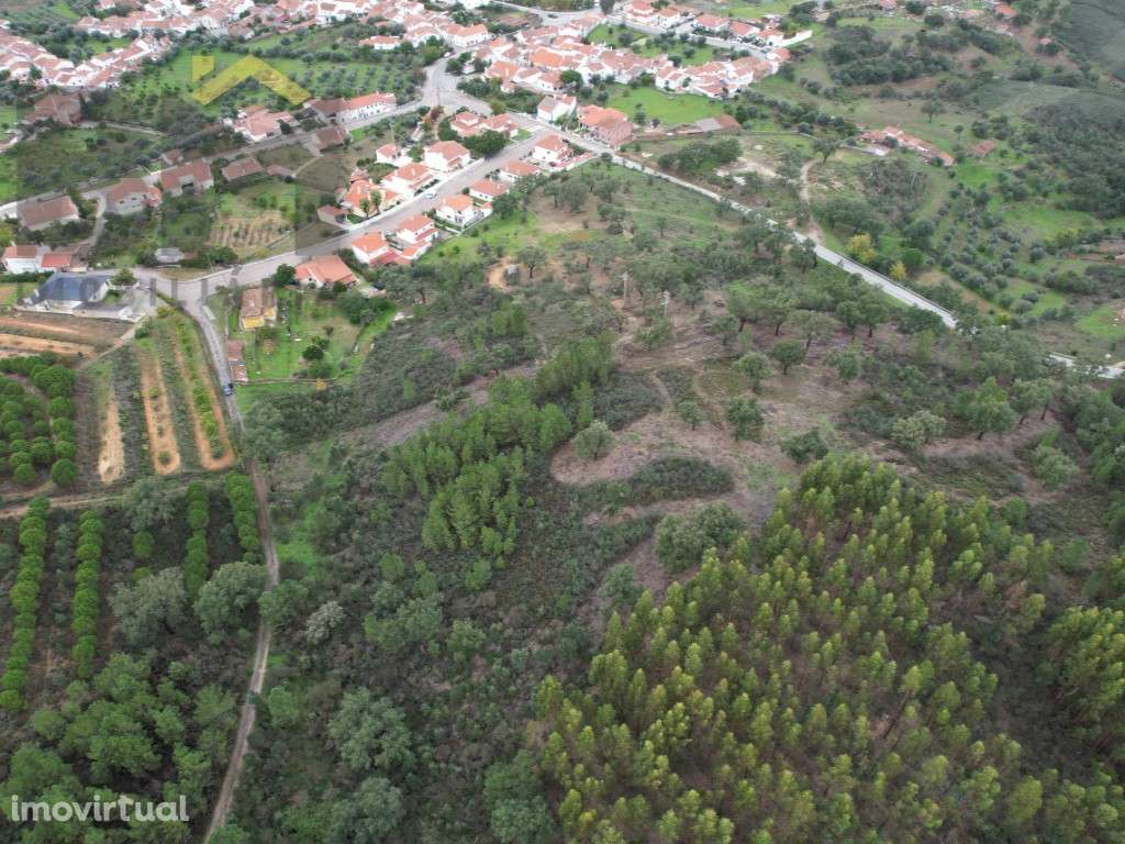 Terreno rústico de 1,76 hectares - Grande imagem: 3/7