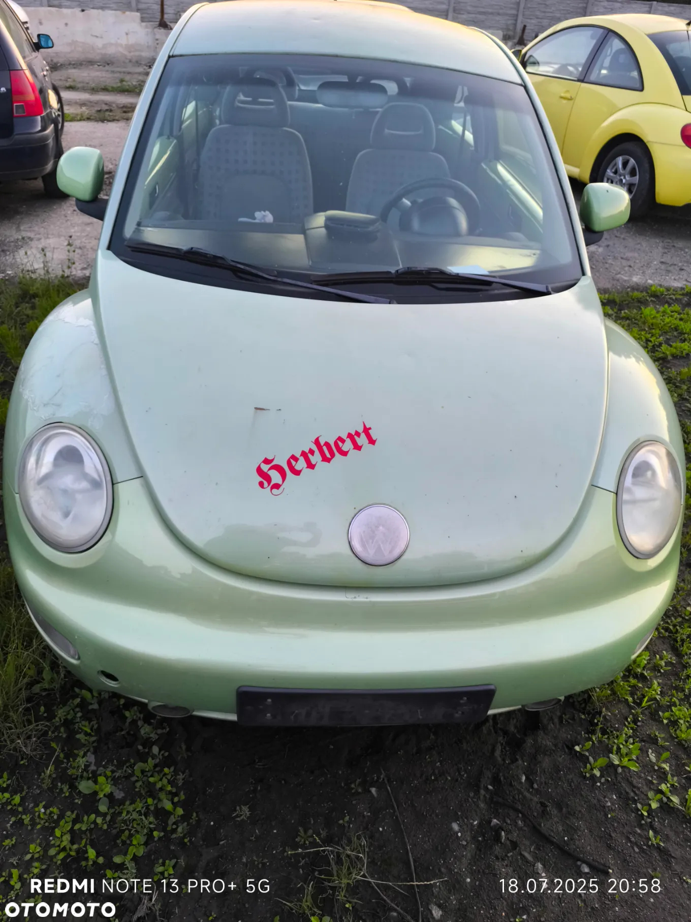 Volkswagen Garbus - 2