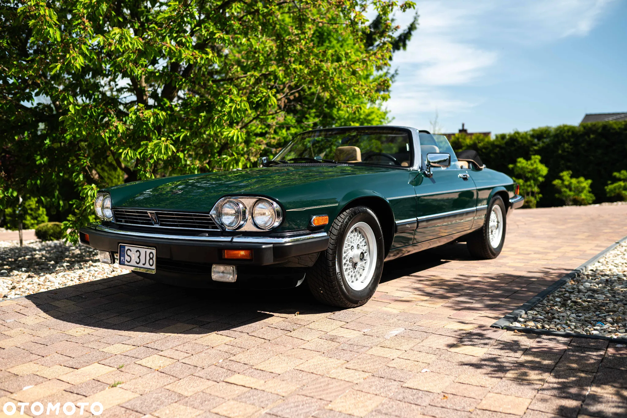 Jaguar XJS - 17