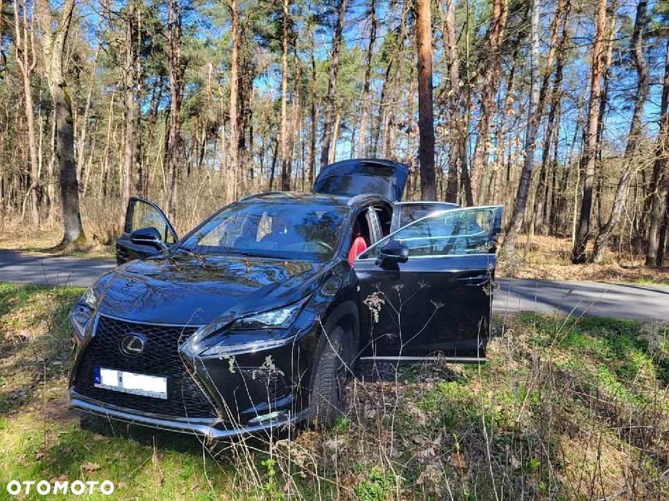 Lexus NX 300 GPF F Sport AWD - 18