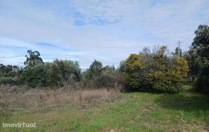 Terreno com palheiro e poço! - Grande imagem: 4/10