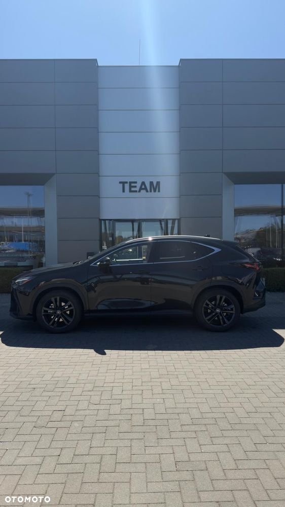 Lexus NX - 2