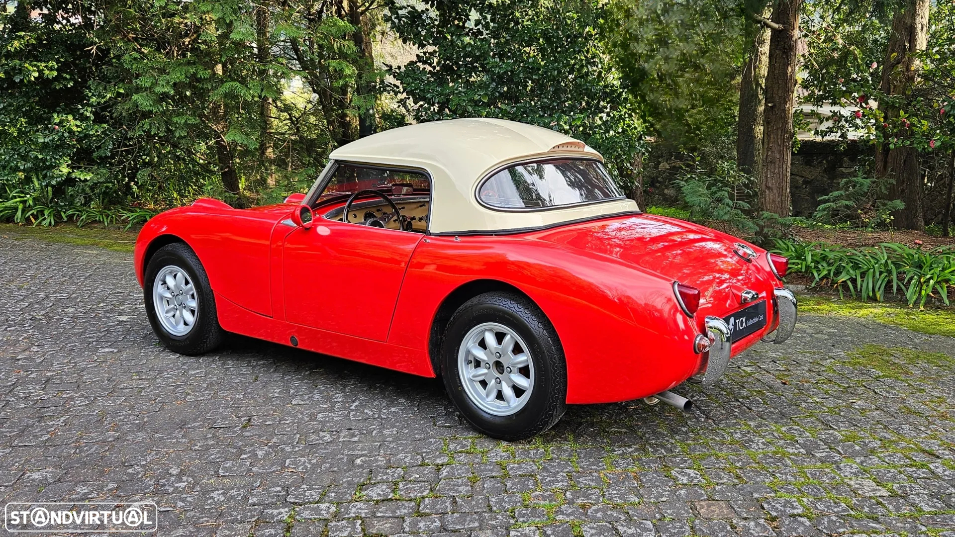 Austin Healey Sprite Mk I - 2