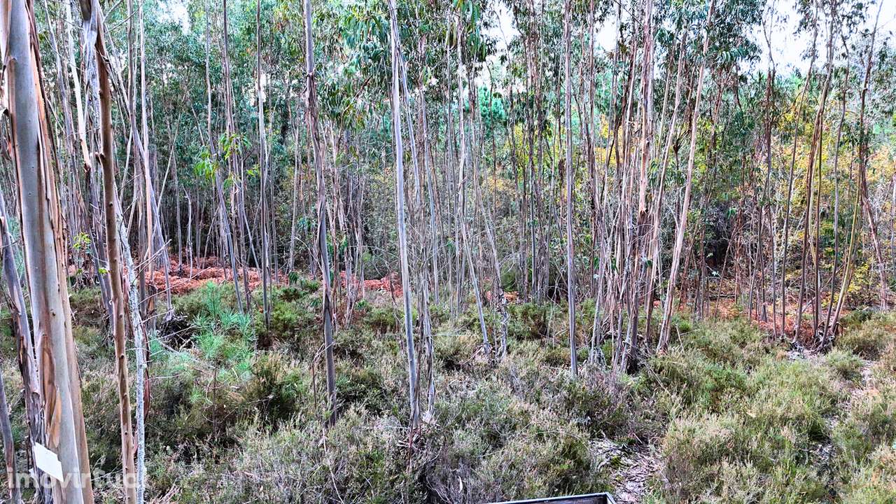 Terreno  para venda - Grande imagem: 2/5