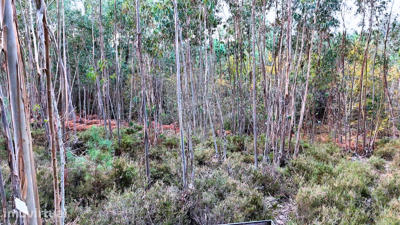 Terreno  para venda - Grande imagem: 2/5