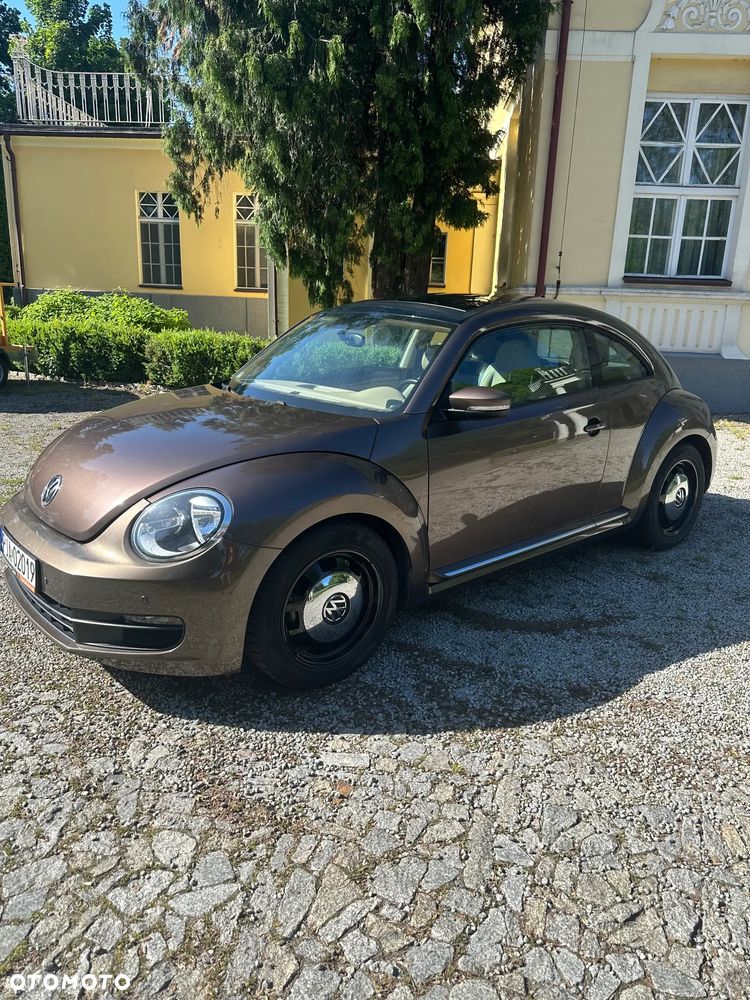 Volkswagen Beetle - 5