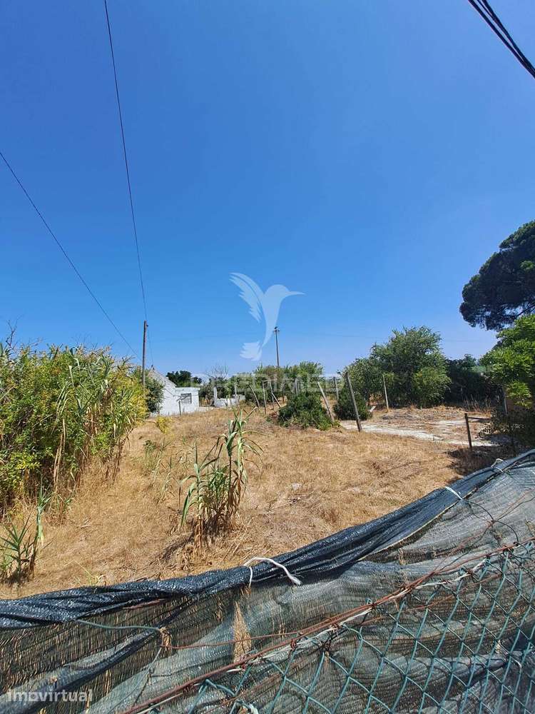 Terreno Urbano de 1.860 m² com Moradia no Alto da Malhada, Moita - Grande imagem: 5/38