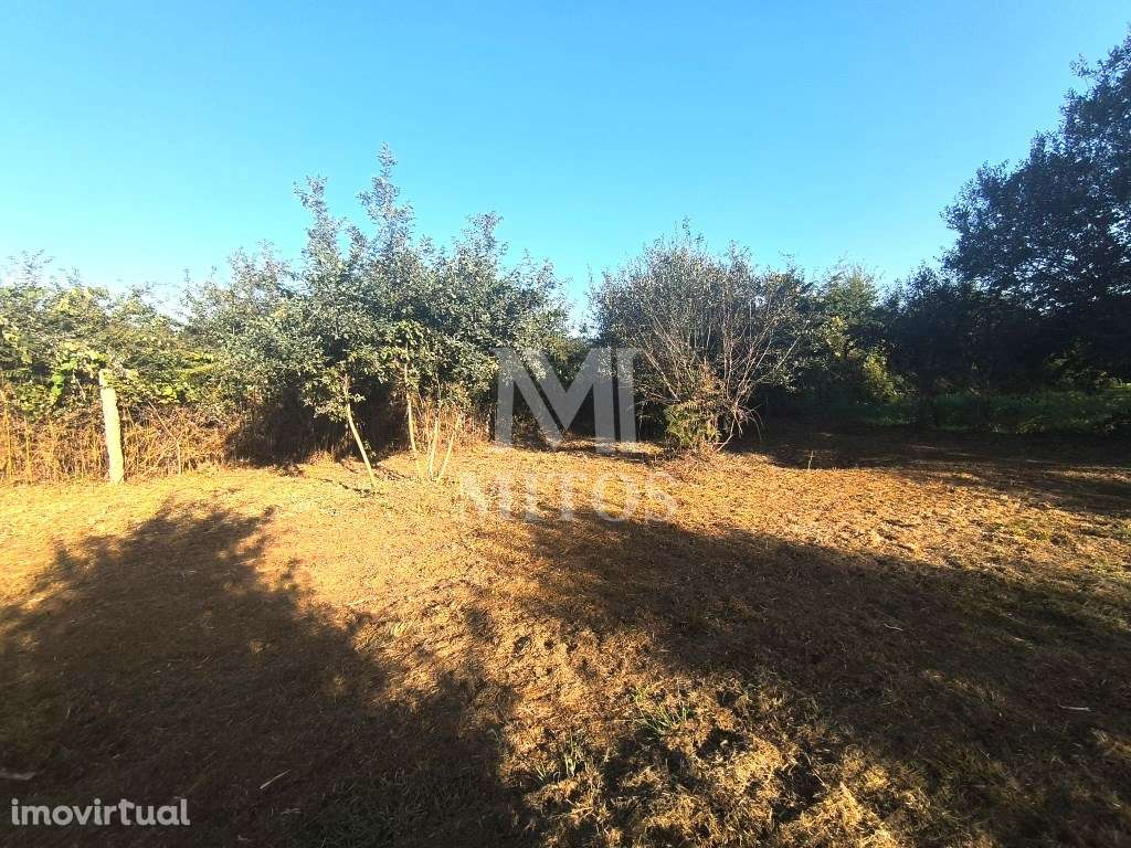 Terreno em Mujães - Grande imagem: 5/23