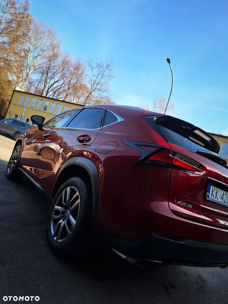 Lexus NX 200t Prestige AWD - 22