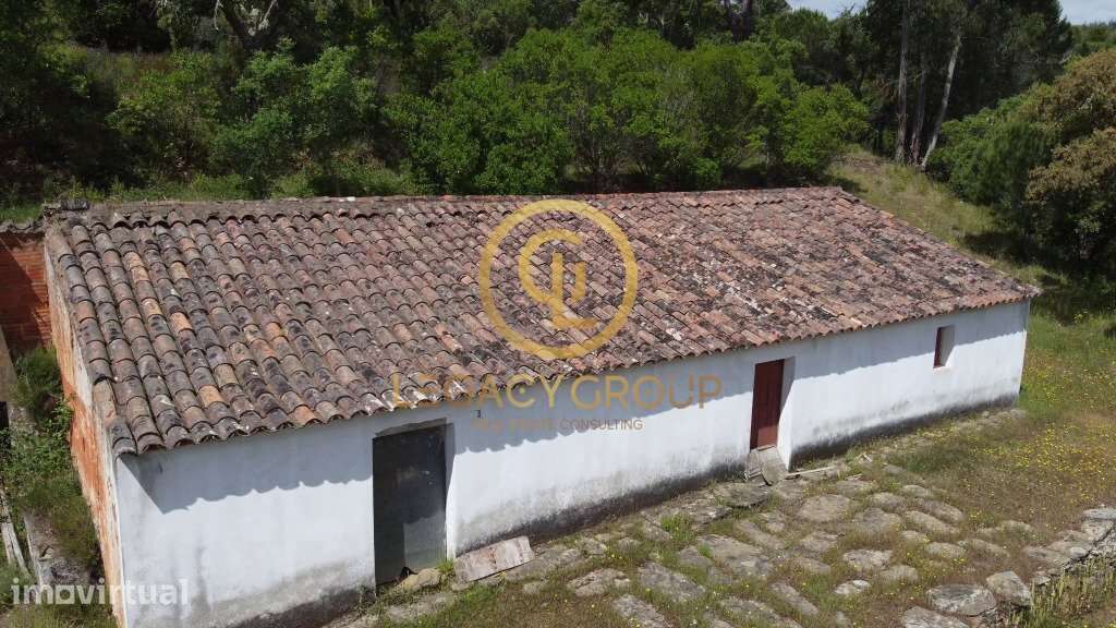 Quinta de 6 hectares perto de São Martinho das Amoreiras - Grande imagem: 3/37