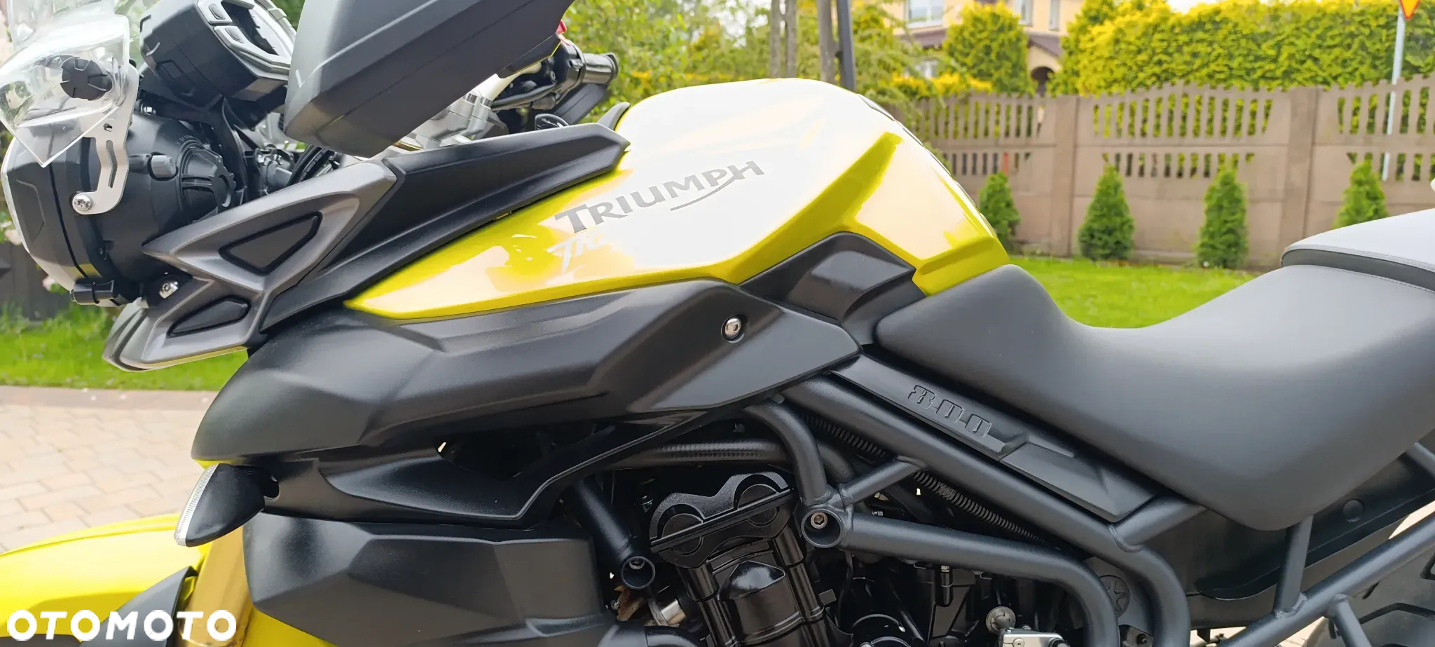 Triumph Tiger - 38
