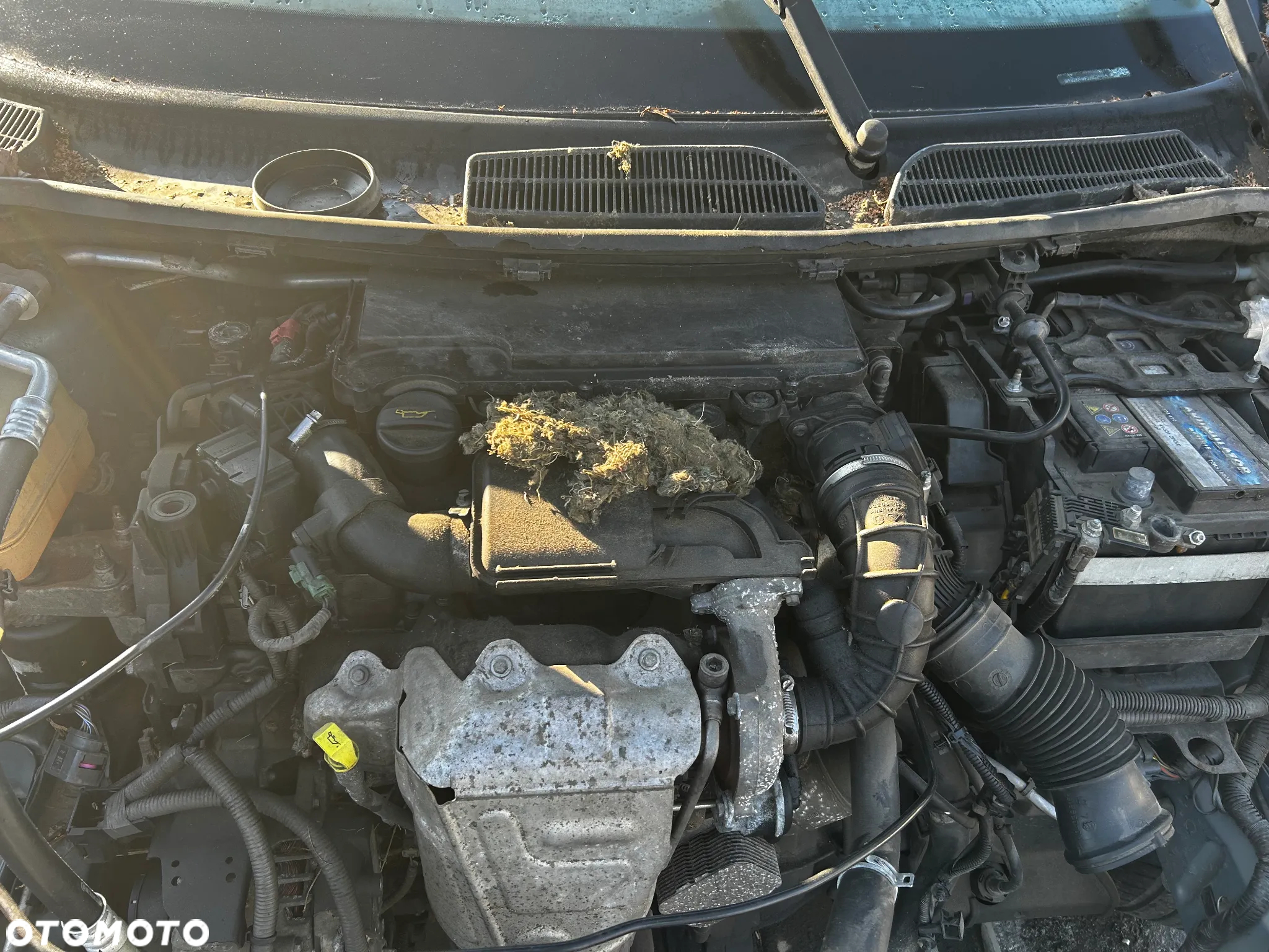 Ford Fiesta mk7 1,4TDCI półoś lewa prawa - 3