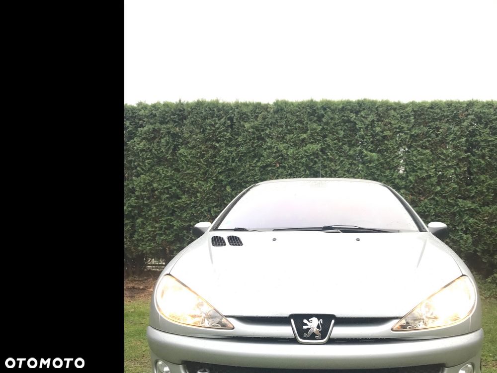 Peugeot 206 90 Quiksilver - 14