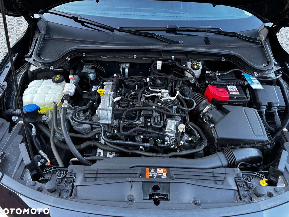 Ford Focus 1.0 EcoBoost Start-Stopp-System COOL&CONNECT DESIGN - 15