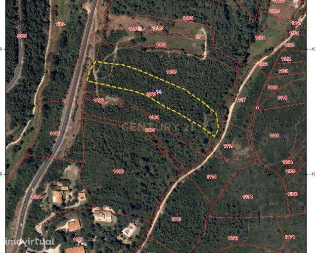 TERRENO - MALVEIRA DA SERRA - Grande imagem: 5/13