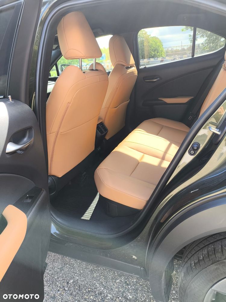 Lexus UX - 9