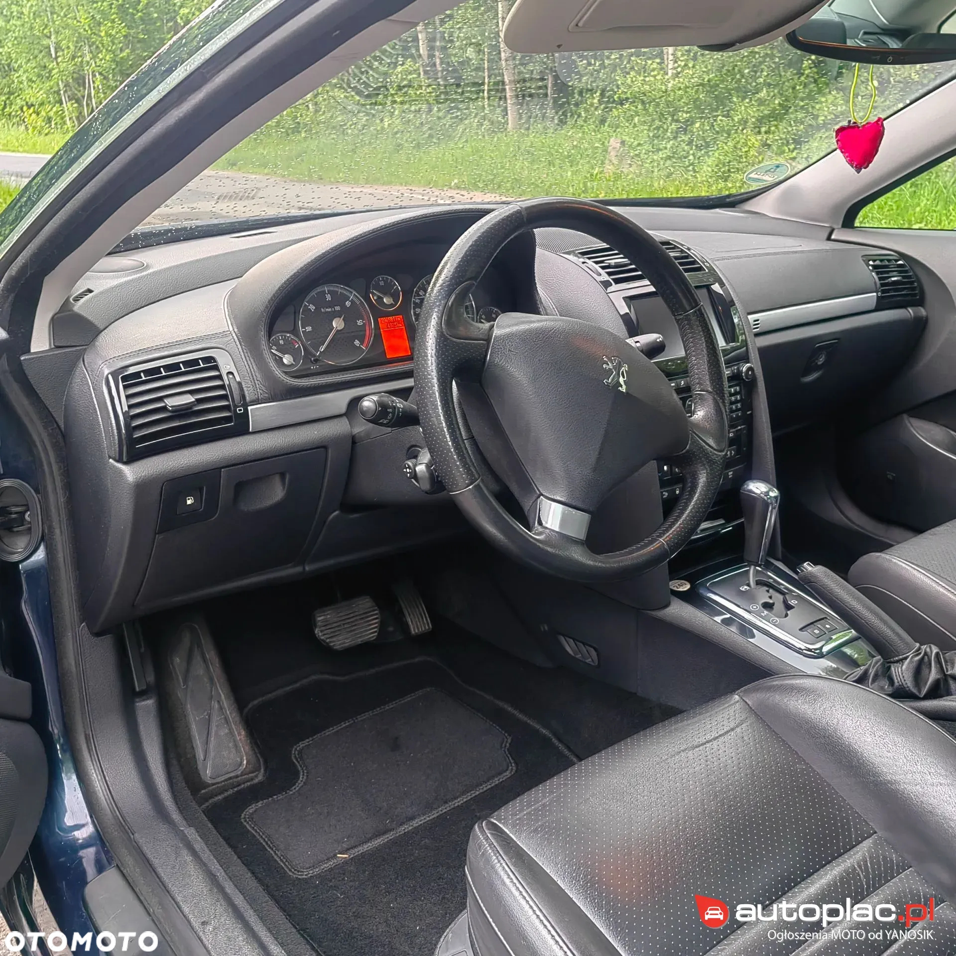 Peugeot 407 - 18