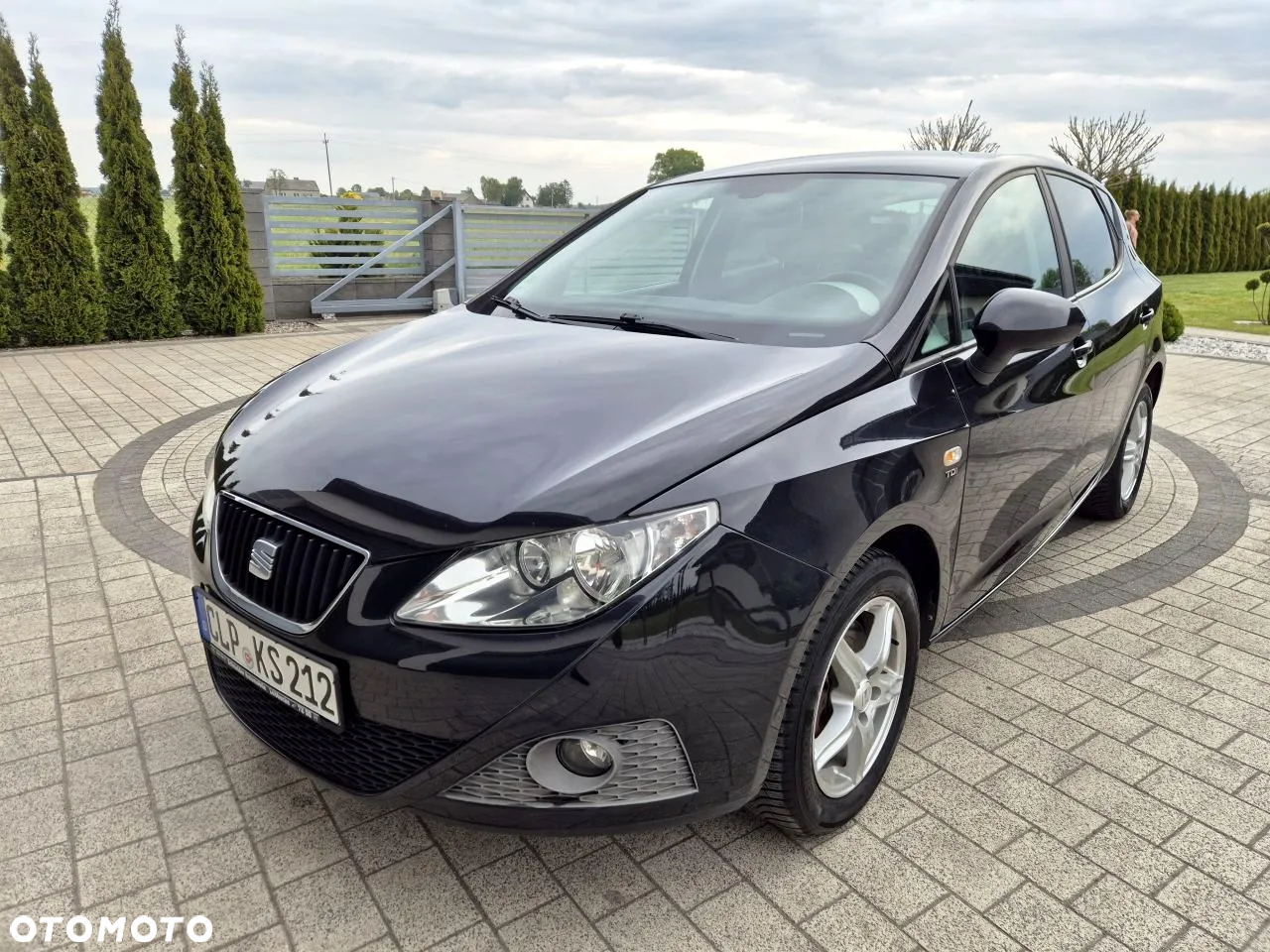 Seat Ibiza - 13