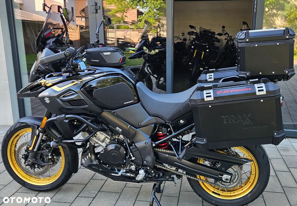 Suzuki DL - 11