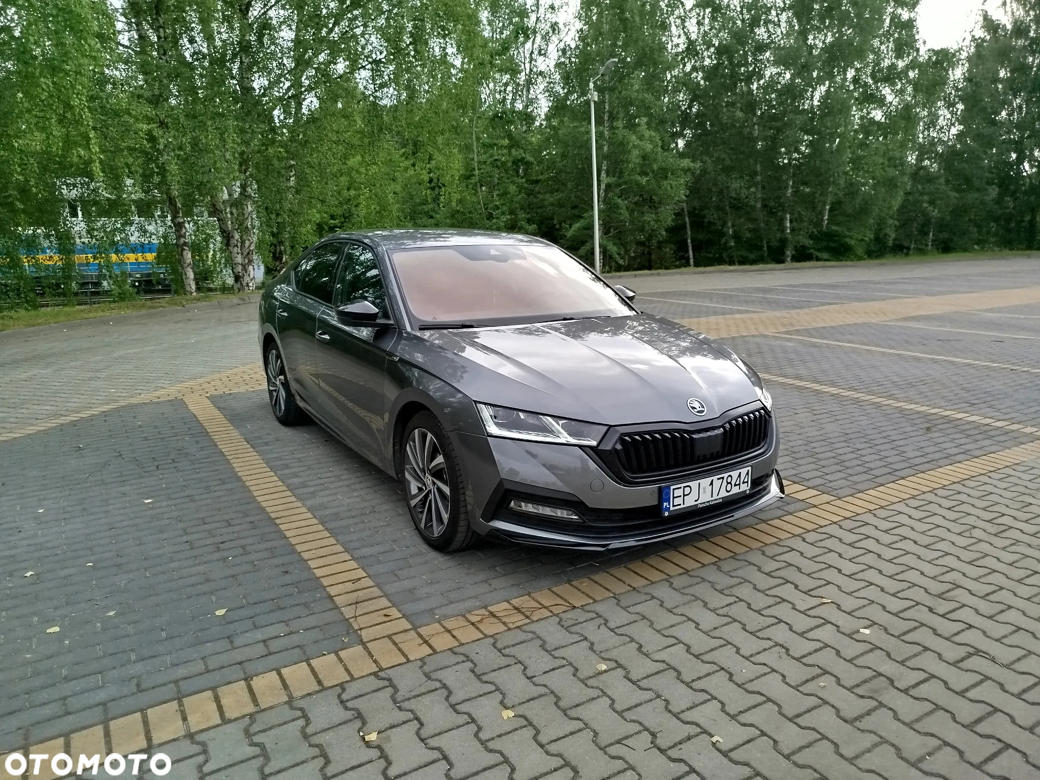 Skoda Octavia 1.5 TSI Sportline - 2