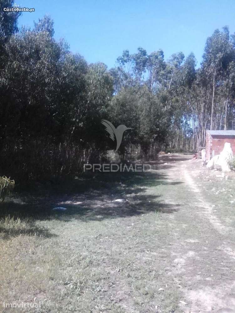 Terreno Rustico - Grande imagem: 2/8