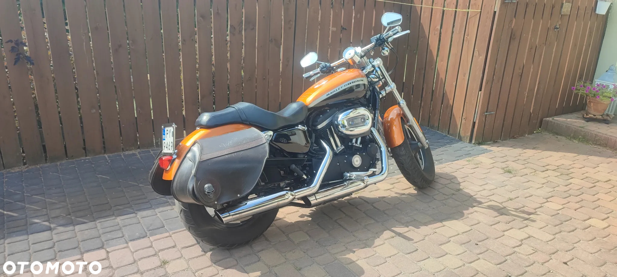 Harley-Davidson Sportster Custom 1200C - 9