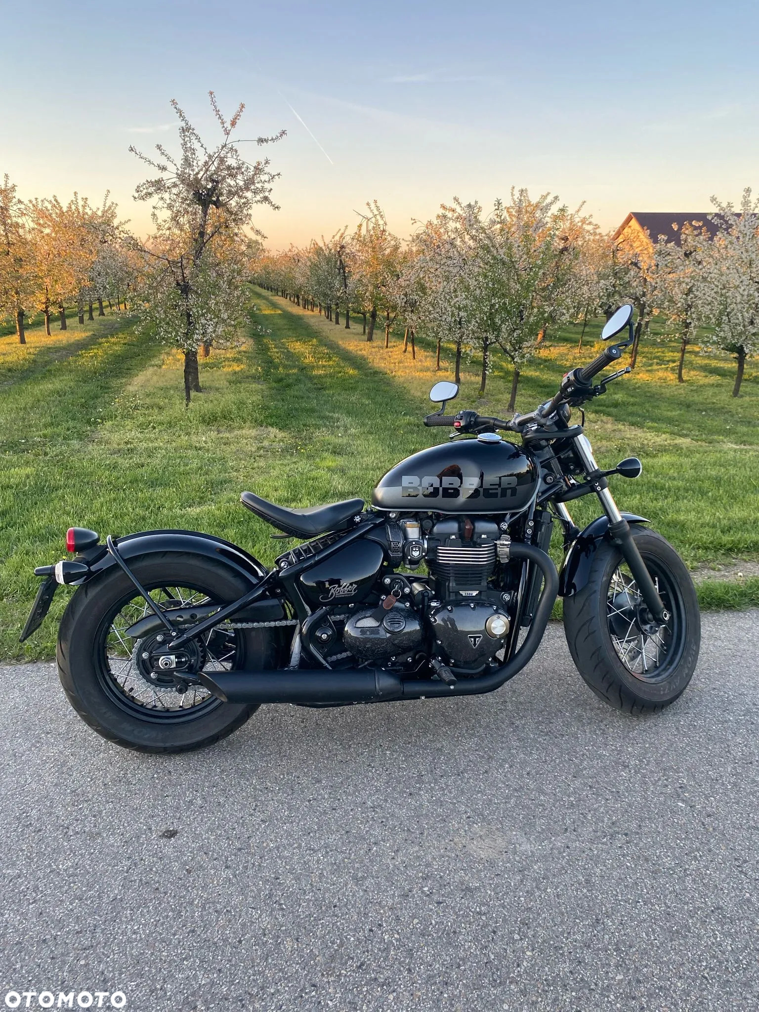 Triumph Bonneville Bobber - 3