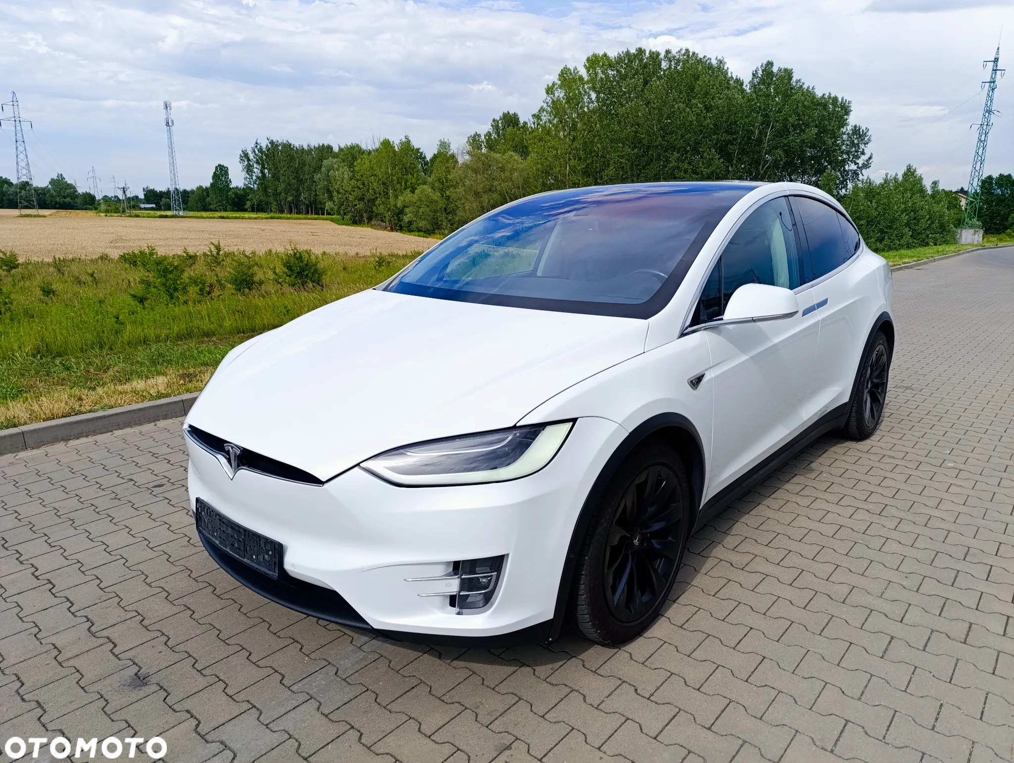 Tesla Model X Performance - 16