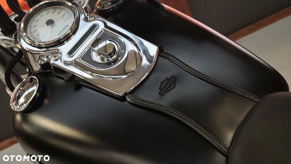 Harley-Davidson Dyna Fat Bob - 32