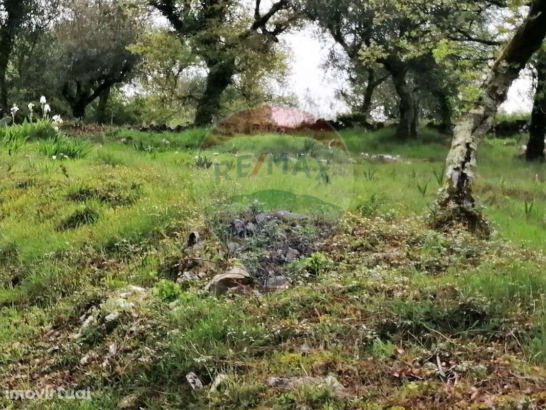 Terreno  para venda - Grande imagem: 2/8