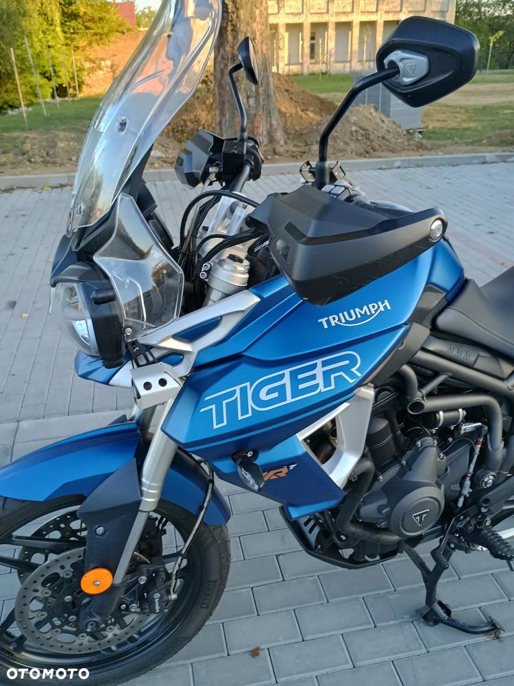 Triumph Tiger - 4